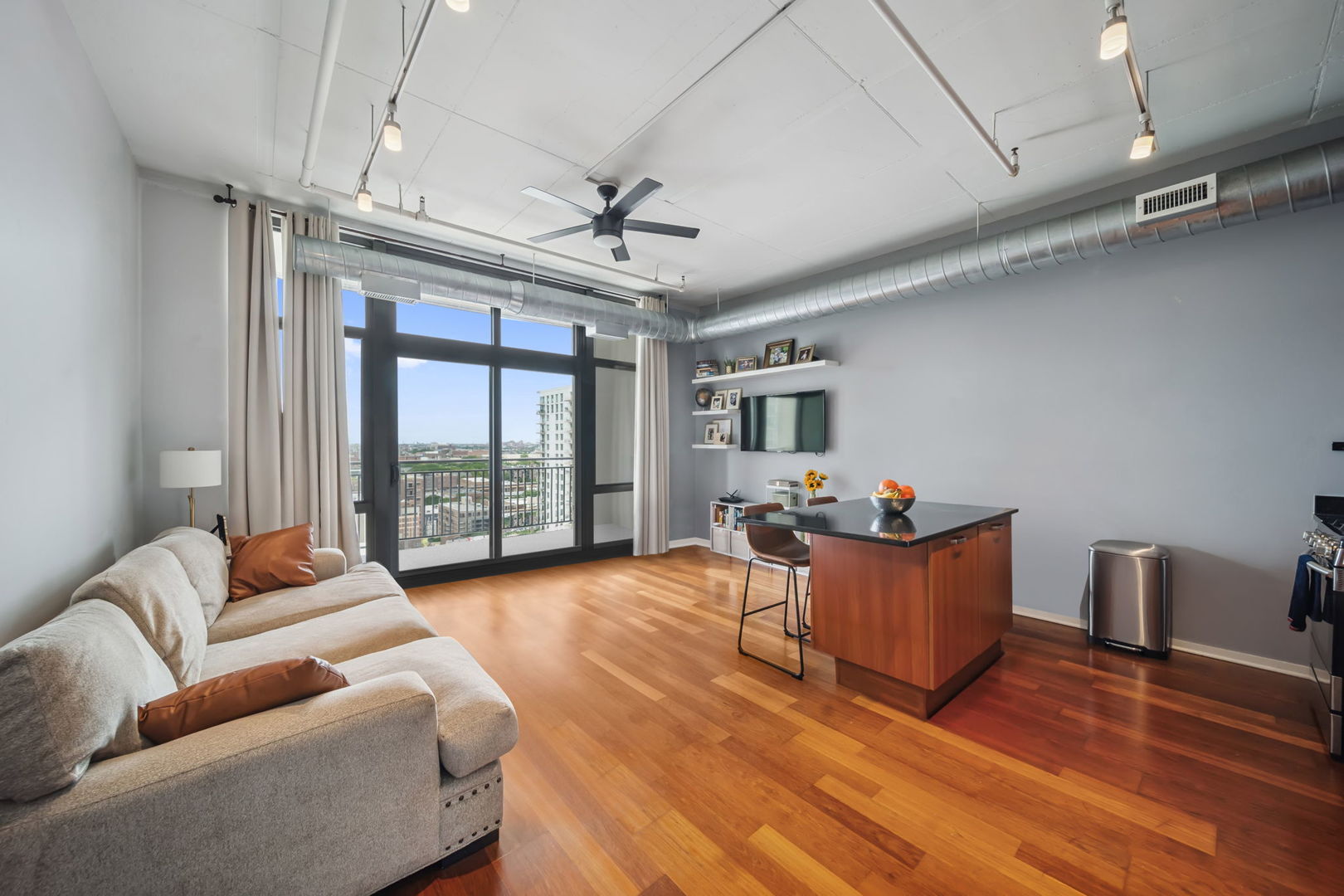 212 E Cullerton Street #1209, Chicago, IL 60616