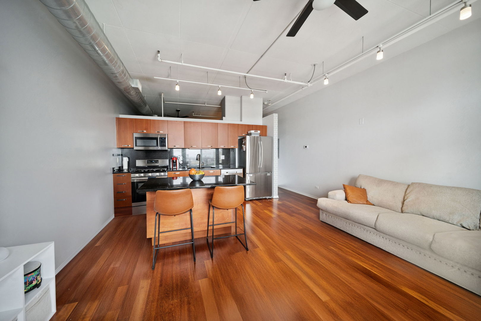 212 E Cullerton Street #1209, Chicago, IL 60616