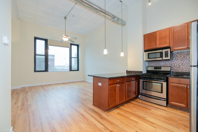 1791 W Howard Street #204, Chicago, IL 60626