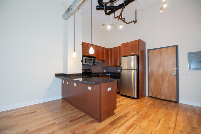 1791 W Howard Street #204, Chicago, IL 60626