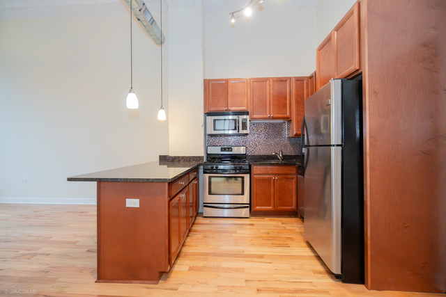 1791 W Howard Street #204, Chicago, IL 60626