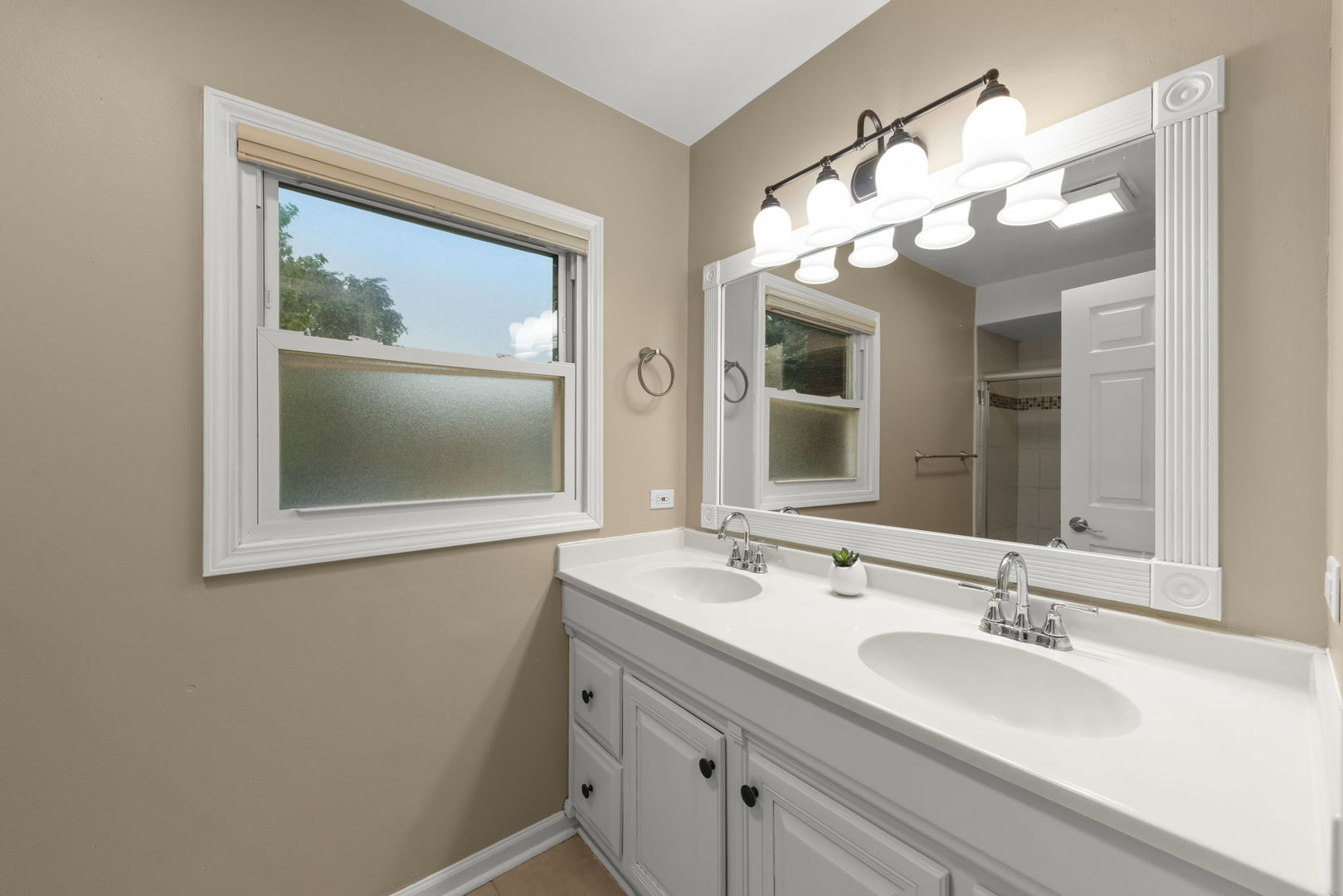 541 Burning Tree Lane, Naperville, IL 60563