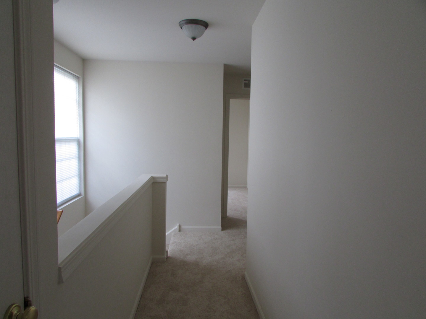 493 Conservatory Lane, Aurora, IL 60502