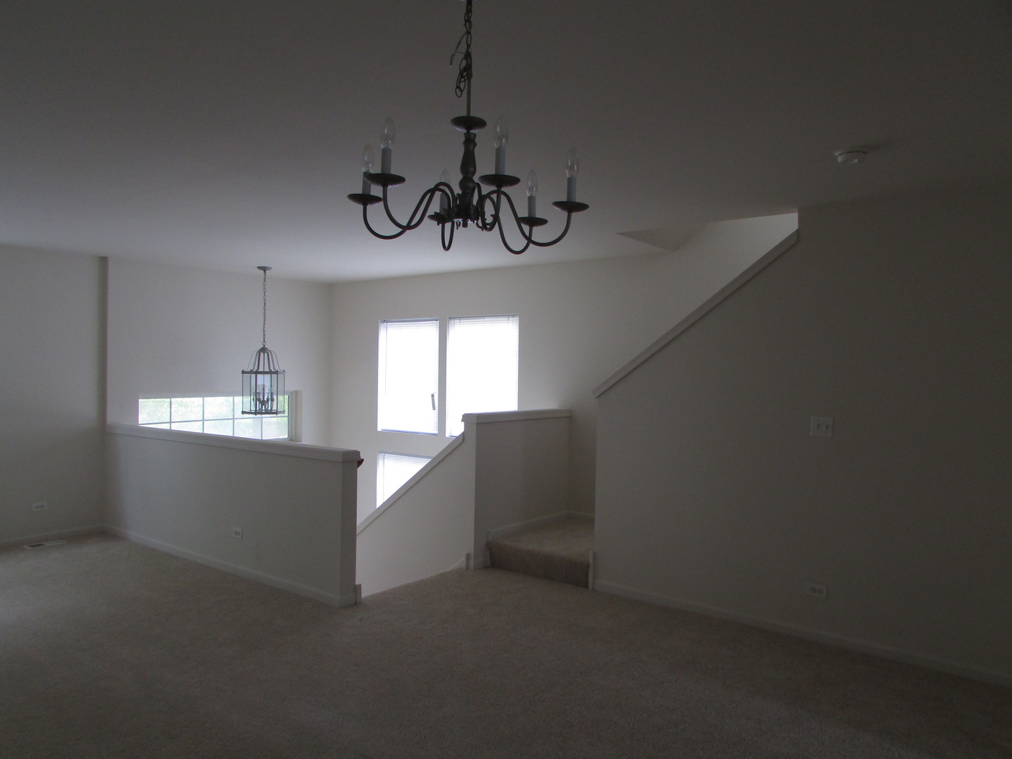 493 Conservatory Lane, Aurora, IL 60502