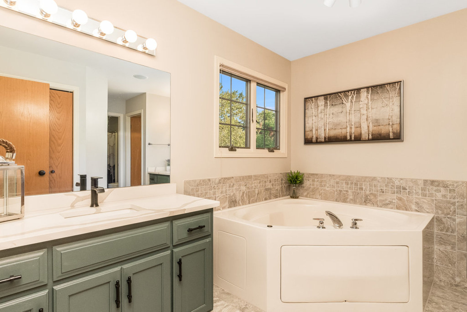 26550 W Melissa Drive, Channahon, IL 60410