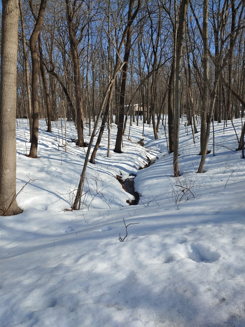 21 W Timberlake Trail, Oswego, IL 60543