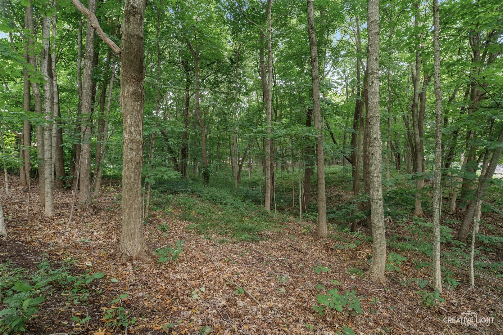21 W Timberlake Trail, Oswego, IL 60543
