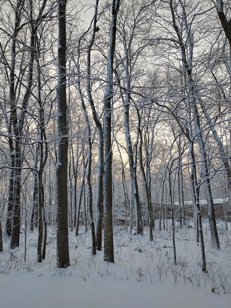 21 W Timberlake Trail, Oswego, IL 60543