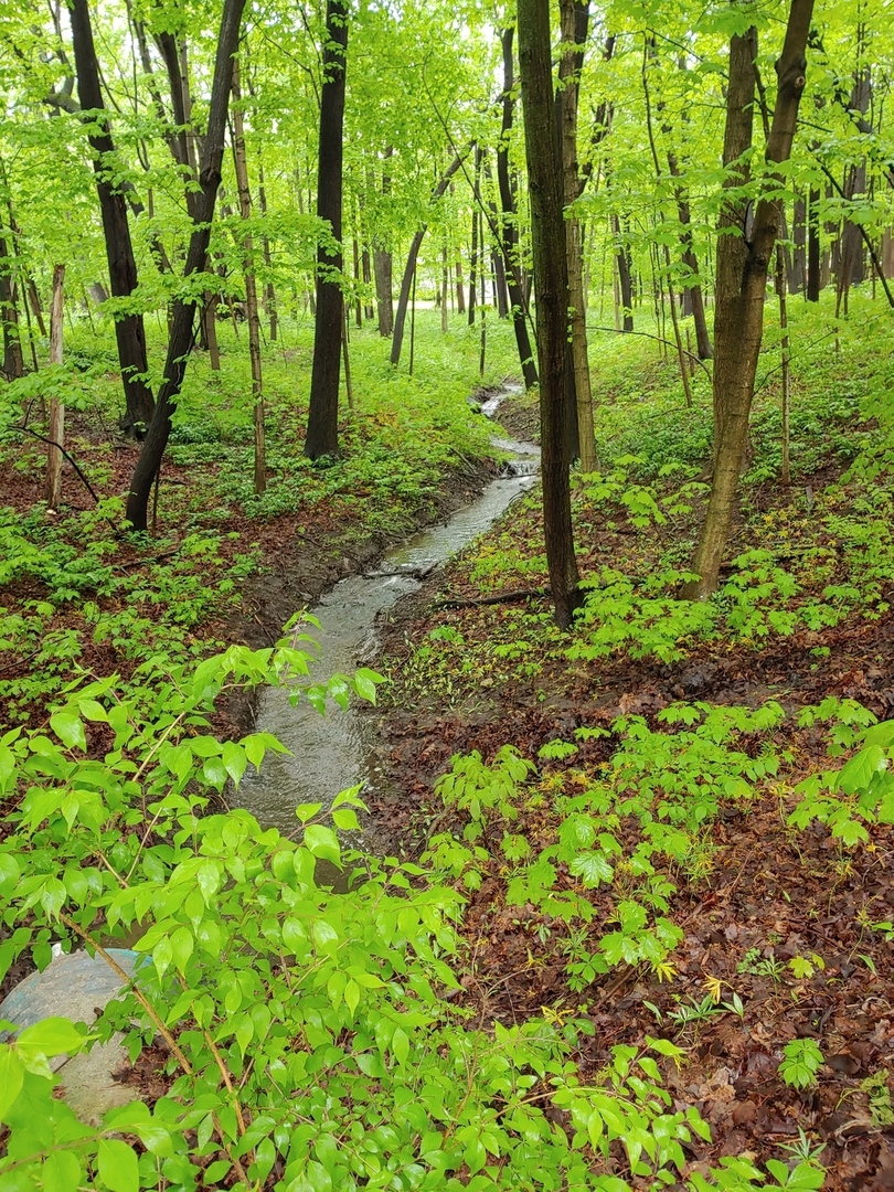 21 W Timberlake Trail, Oswego, IL 60543