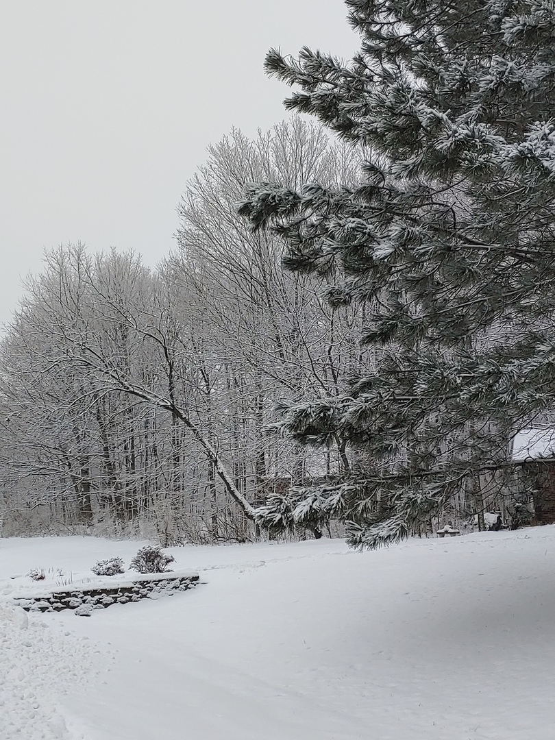 21 W Timberlake Trail, Oswego, IL 60543
