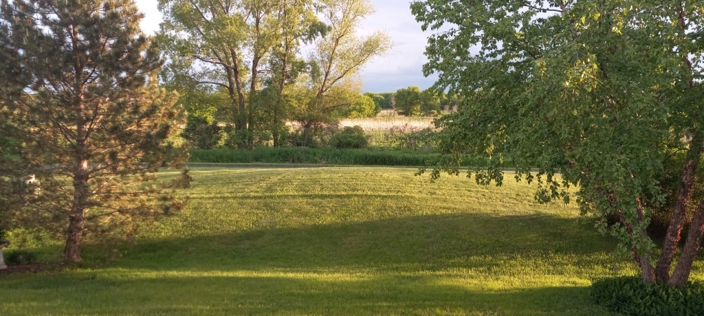 12255 Wildflower Lane, Huntley, IL 60142