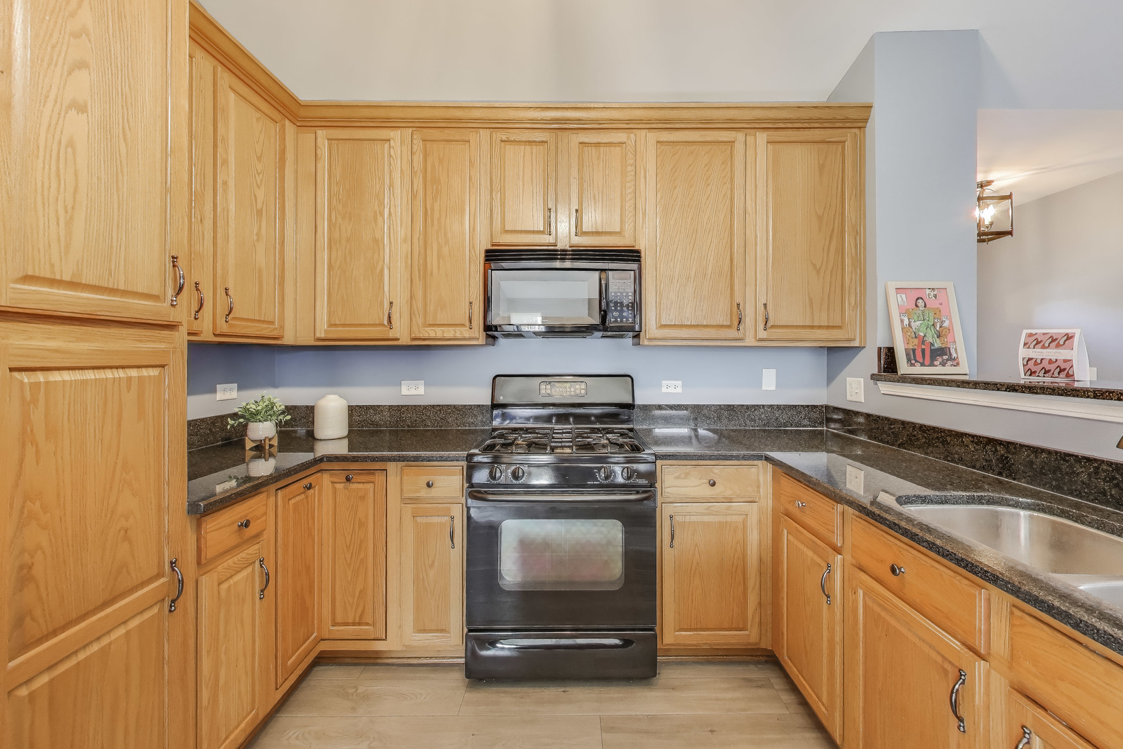 3618 Old Renwick Trail, Joliet, IL 60435