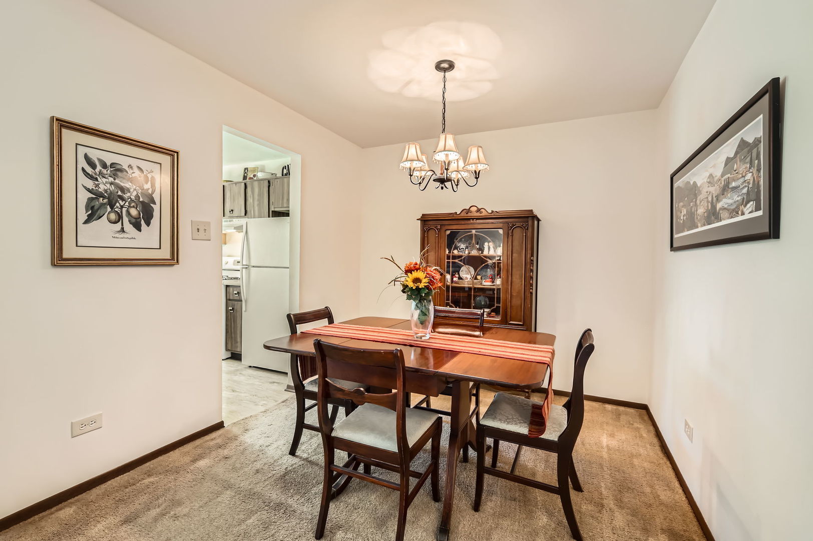 905 E Kings Row #1, Palatine, IL 60074