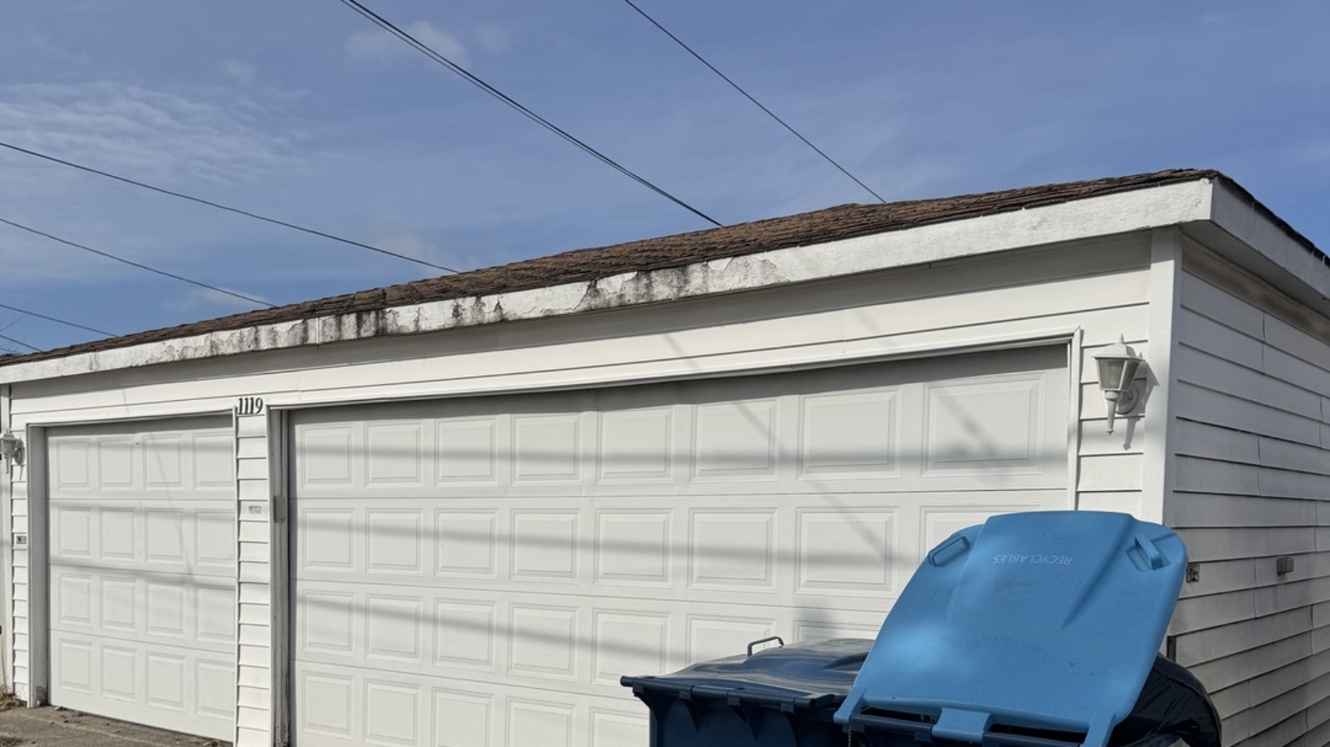 1119 Lucas Street, Calumet City, IL 60409