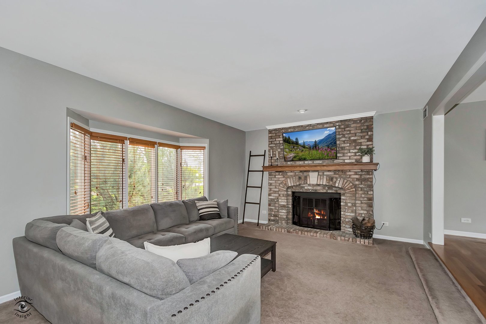 17628 S Williamsburg Drive, Plainfield, IL 60586
