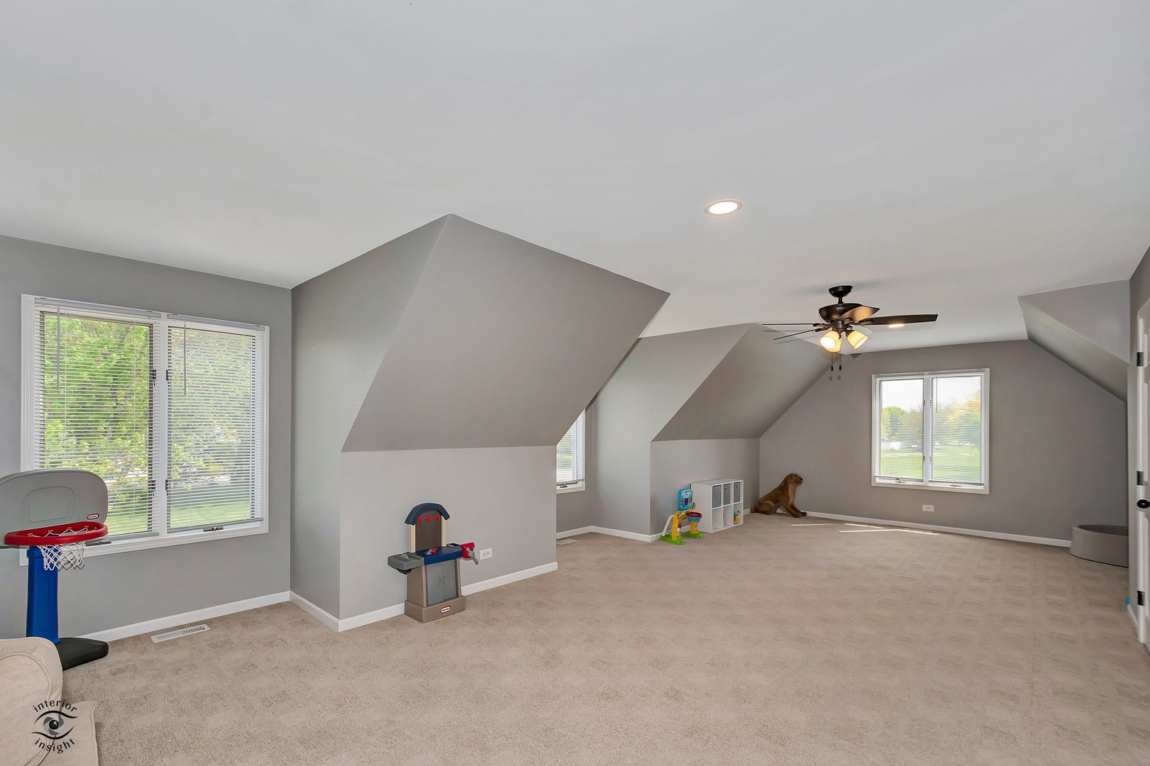 17628 S Williamsburg Drive, Plainfield, IL 60586