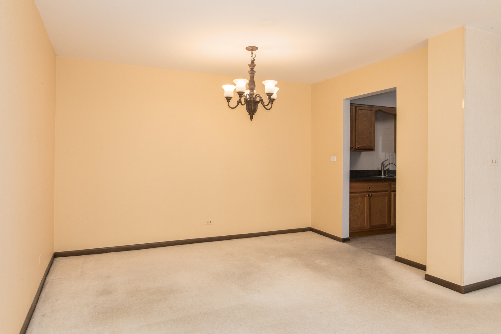 401 Ascot Drive #1C, Park Ridge, IL 60068