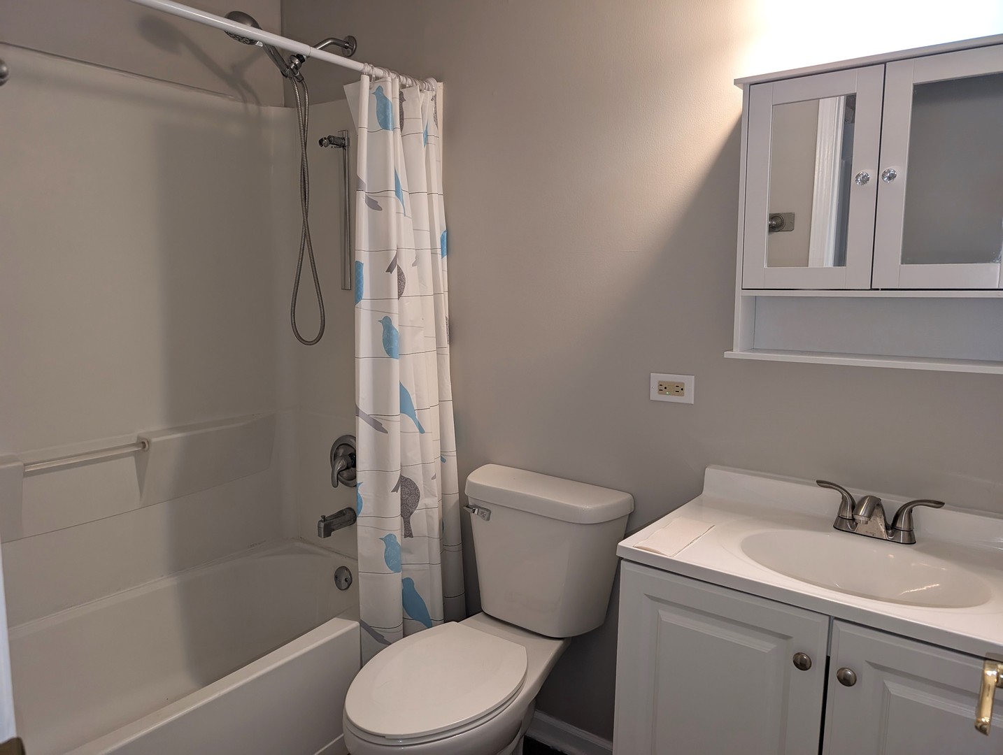 950 N BRAINARD Street, Naperville, IL 60563