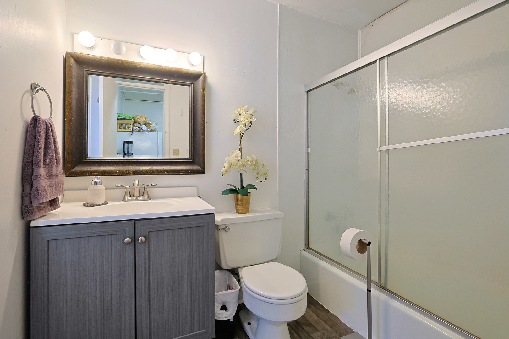 392 PLUM Court, Elgin, IL 60120