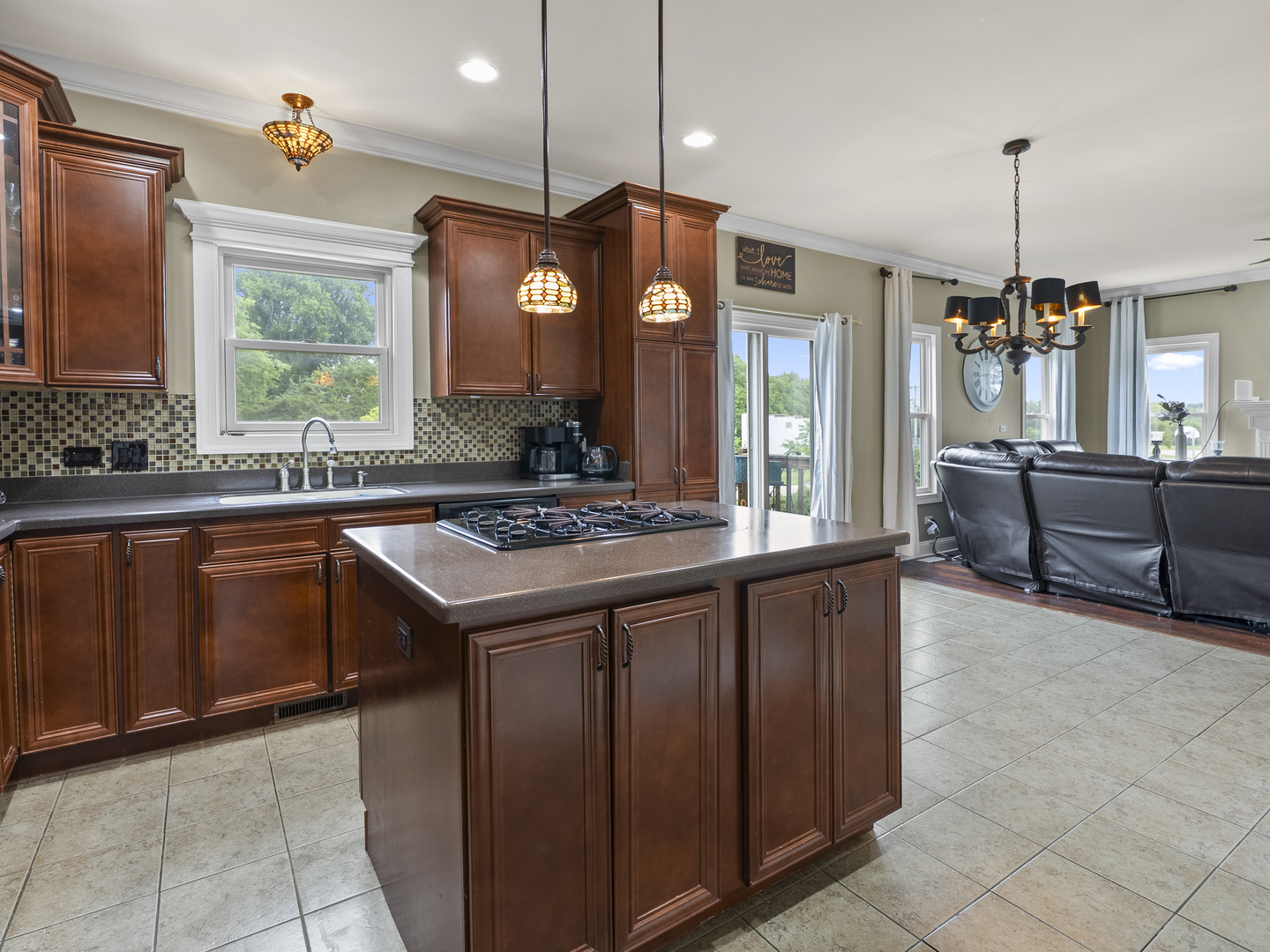 511 E Rennesoy Drive, Newark, IL 60541