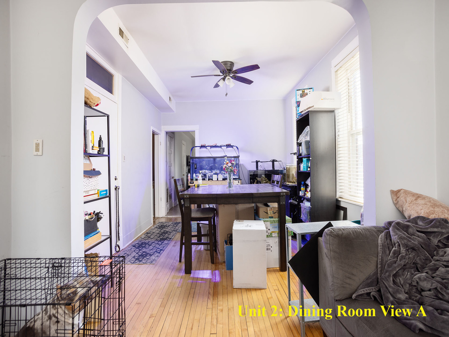 1643 S Fairfield Avenue, Chicago, IL 60608
