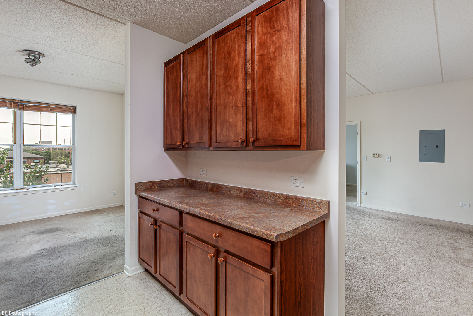 9530 S COOK Avenue #412, Oak Lawn, IL 60453