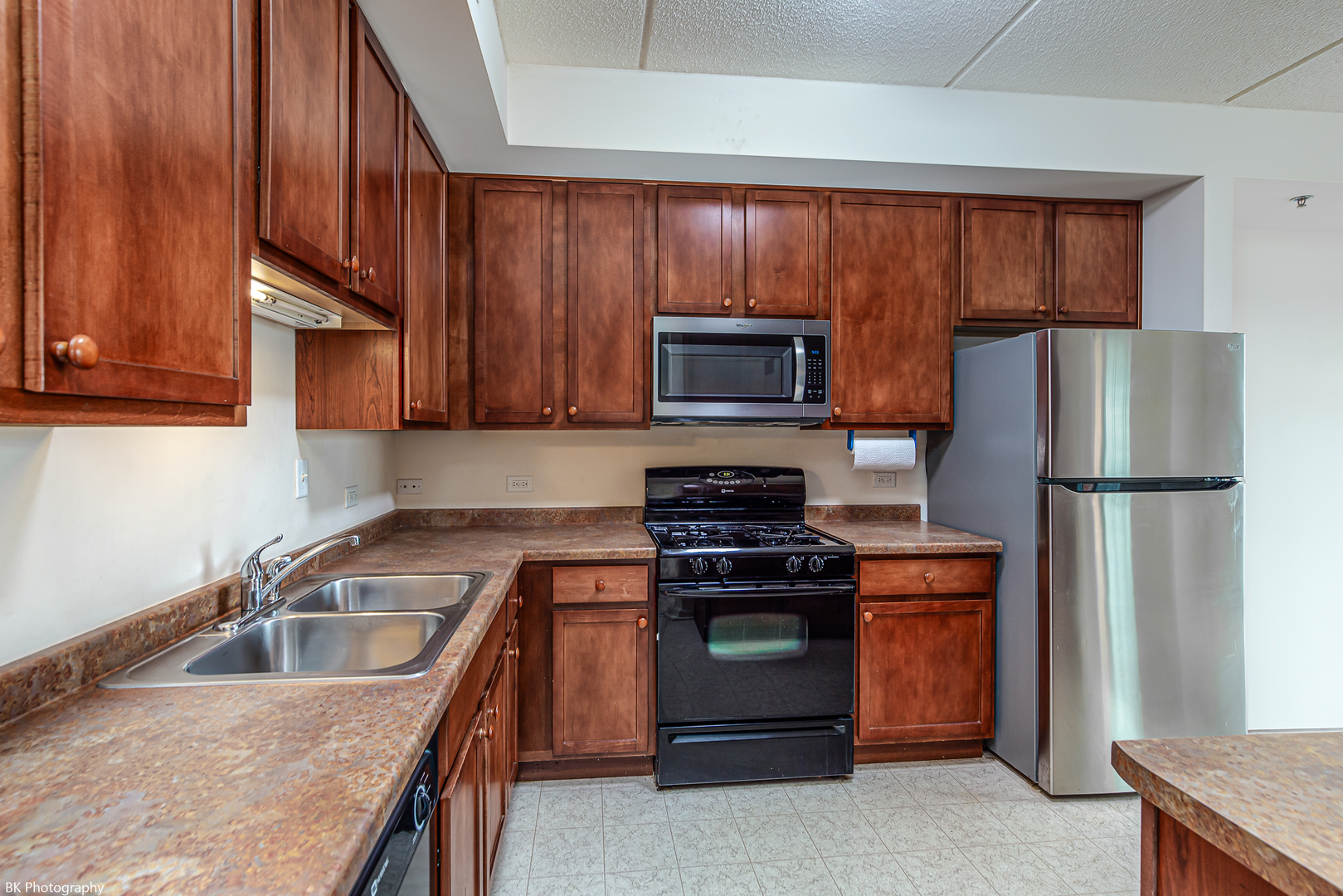 9530 S COOK Avenue #412, Oak Lawn, IL 60453