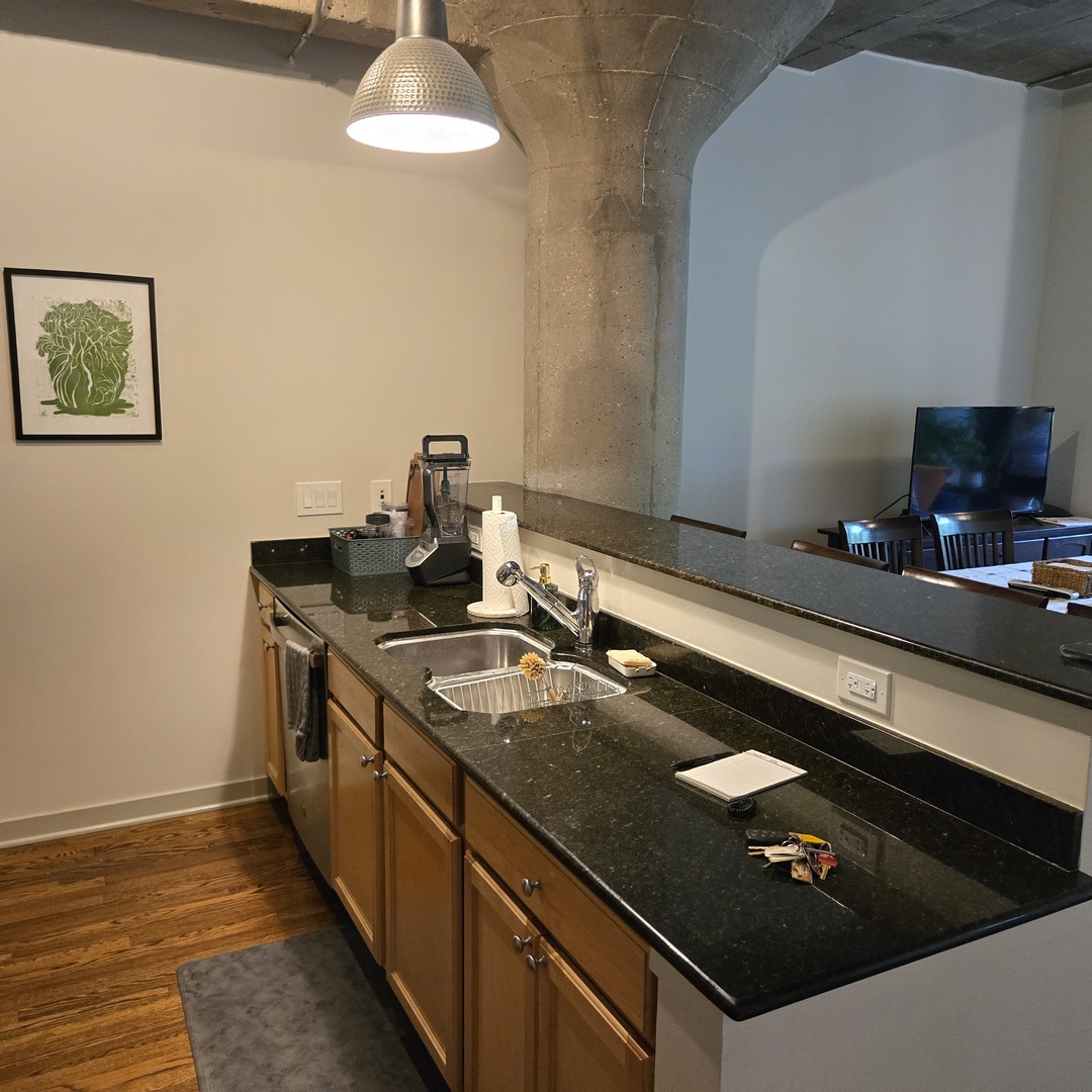 1111 W 15TH Street #228, Chicago, IL 60608