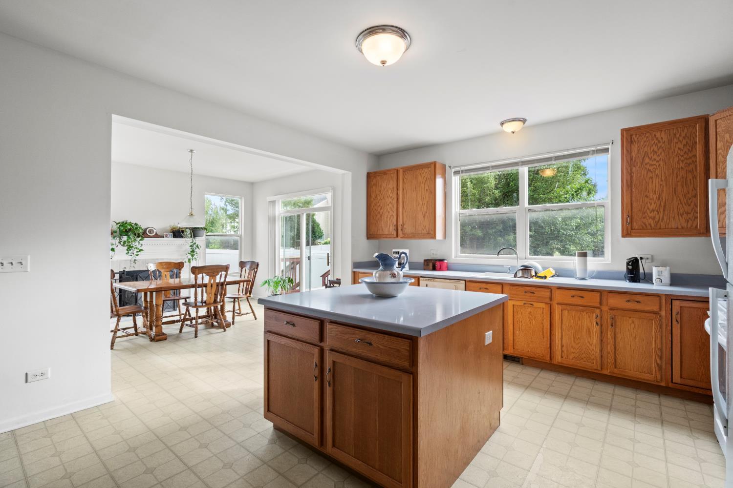 1409 Fitzer Drive, Joliet, IL 60431