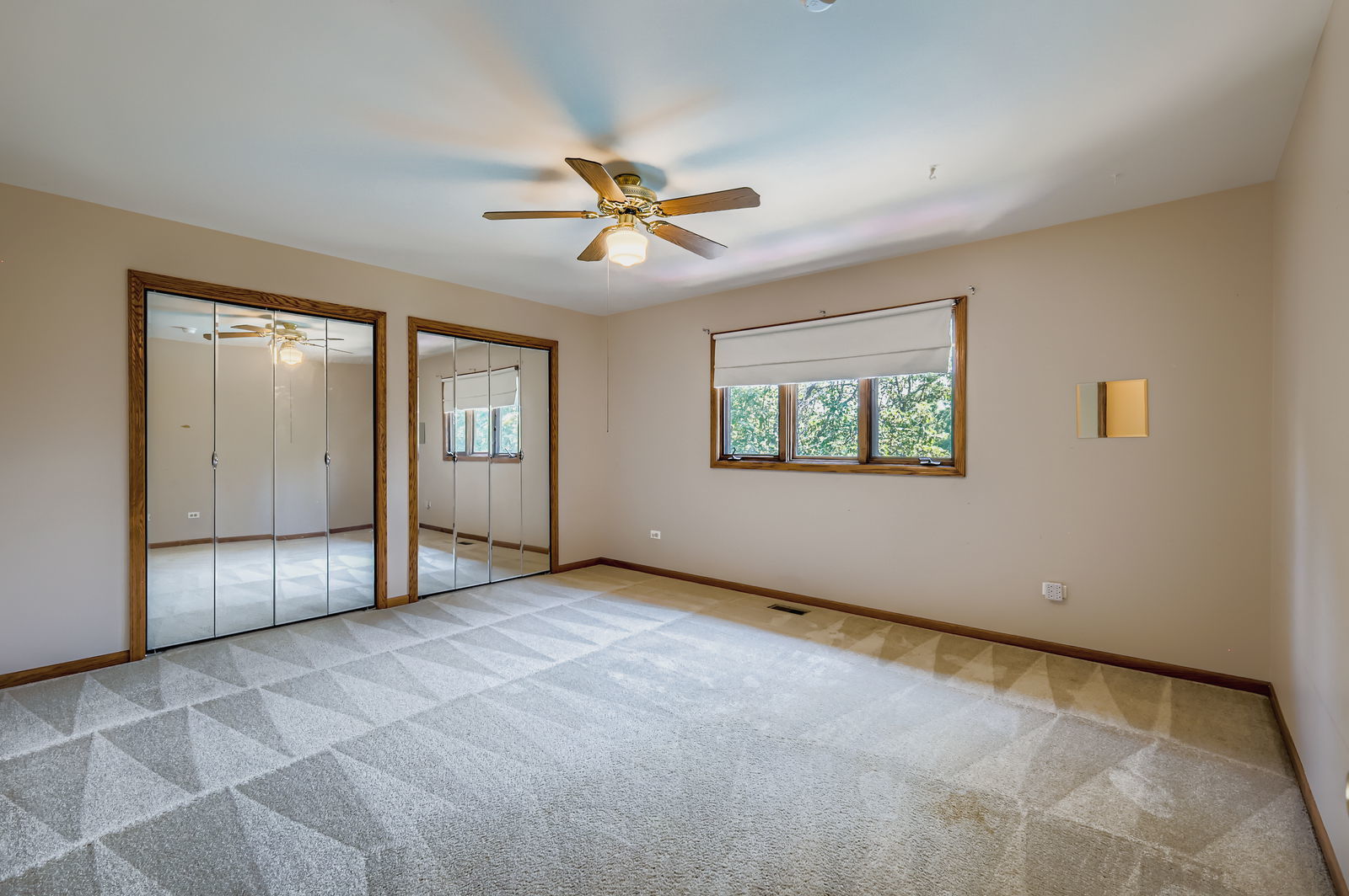 10785 Ashford Avenue, Frankfort, IL 60423