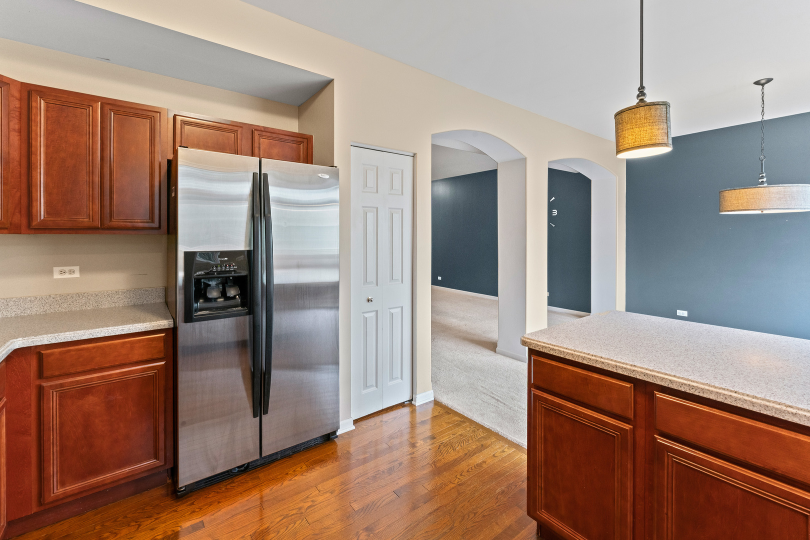 1423 W Remington Lane, Round Lake, IL 60073