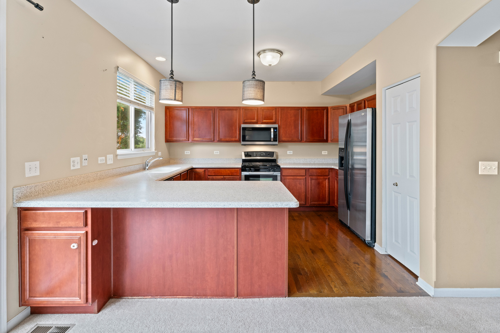1423 W Remington Lane, Round Lake, IL 60073