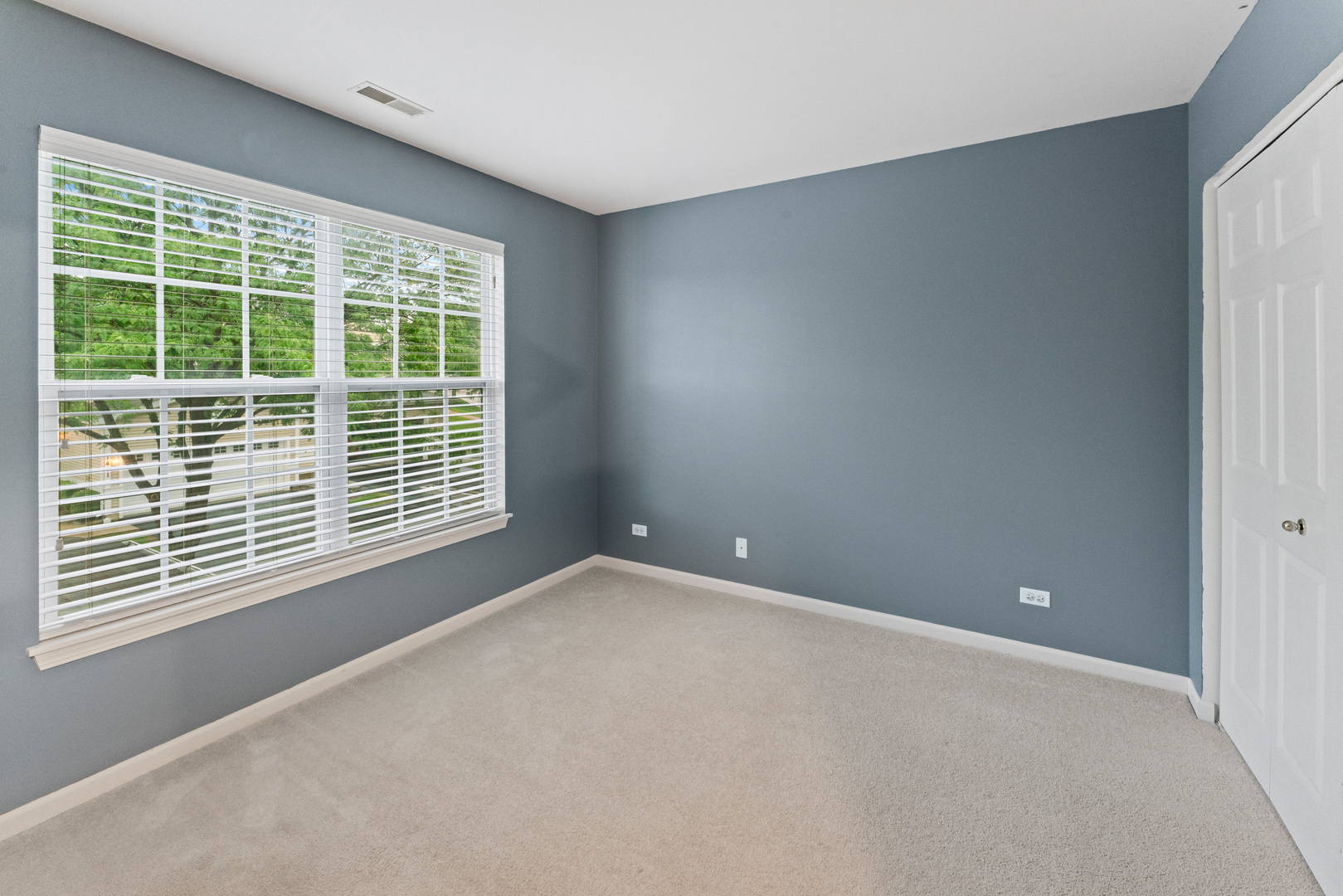 1423 W Remington Lane, Round Lake, IL 60073