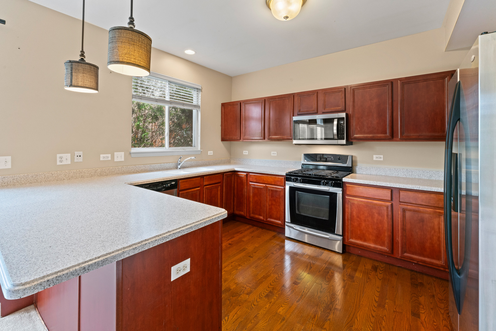 1423 W Remington Lane, Round Lake, IL 60073