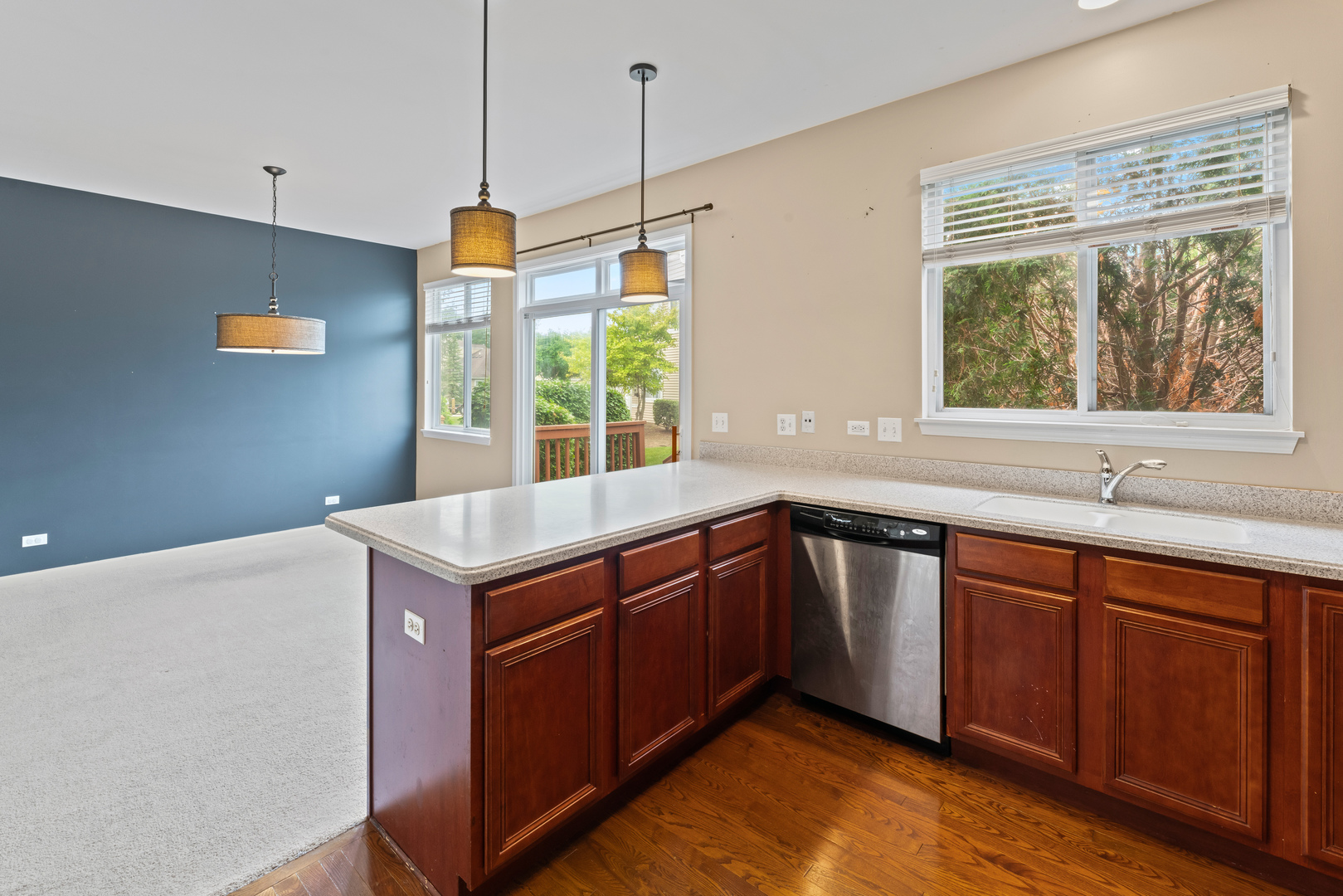 1423 W Remington Lane, Round Lake, IL 60073