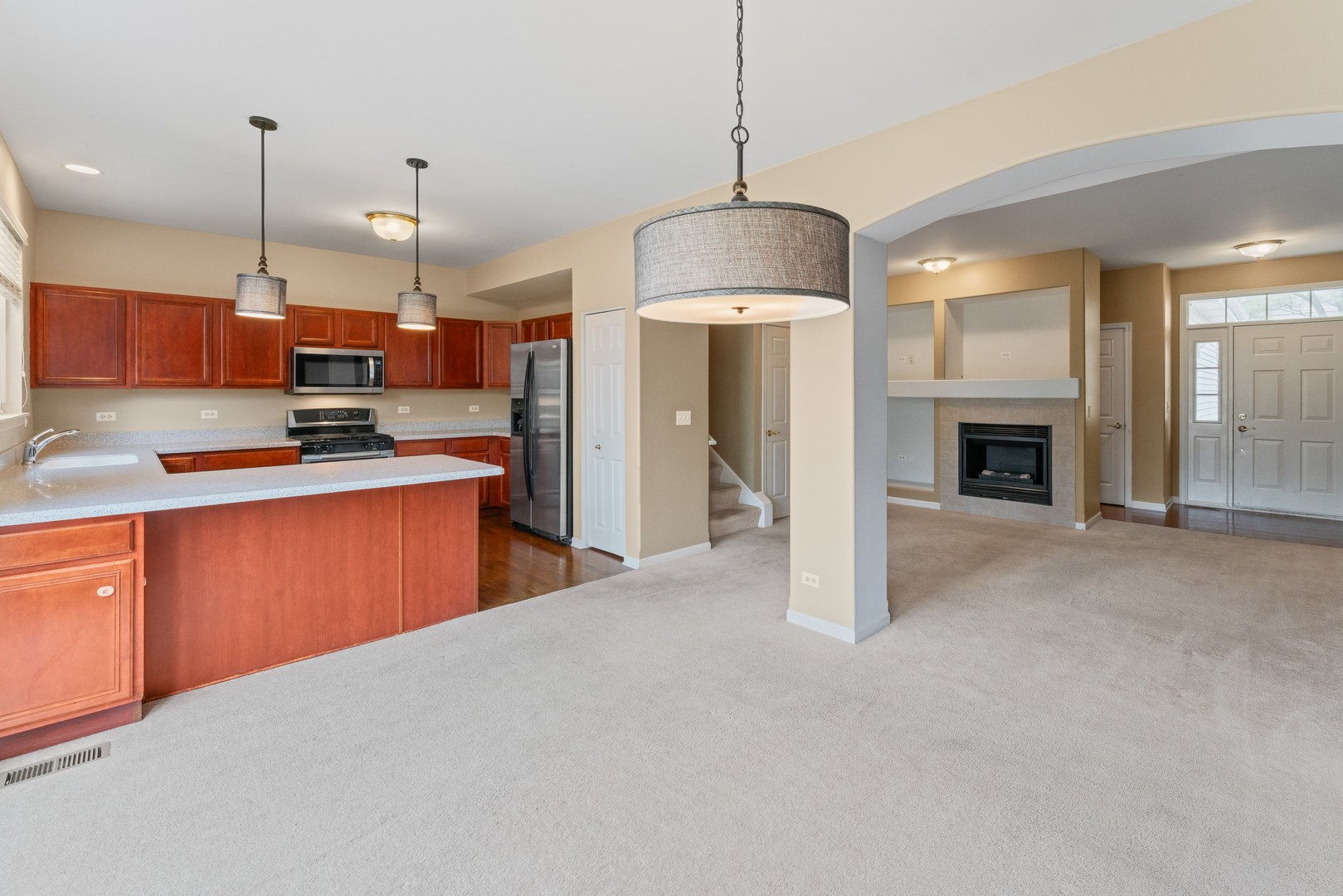 1423 W Remington Lane, Round Lake, IL 60073