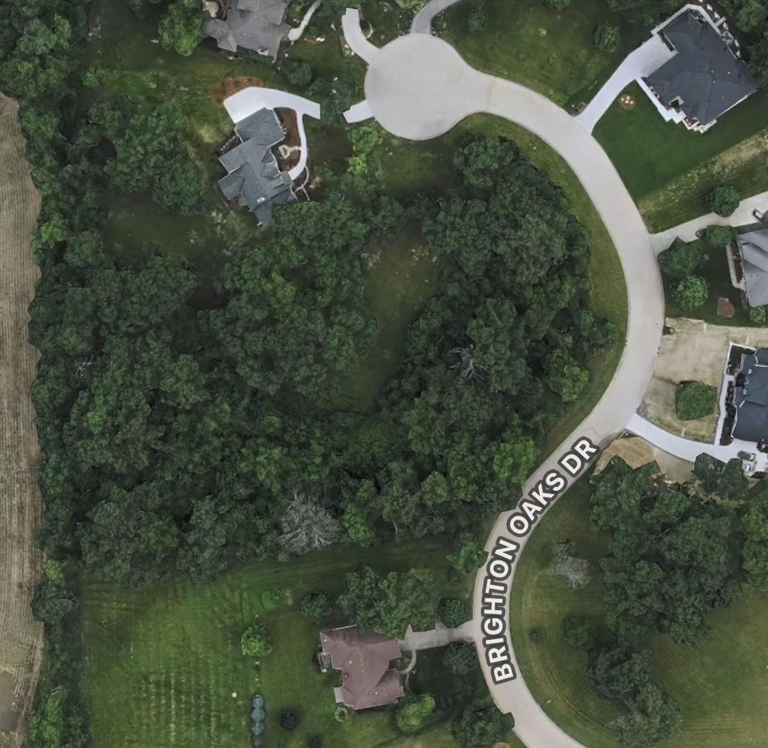 11382 Brighton Oaks Drive, Yorkville, IL 60560
