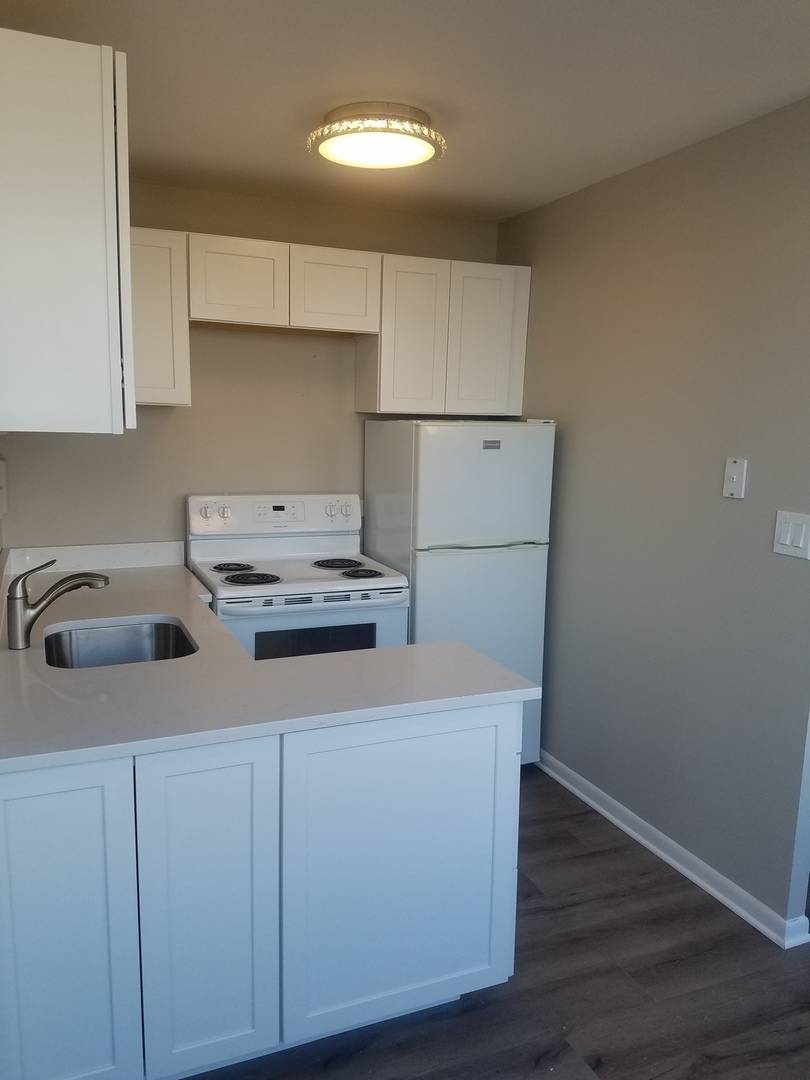 6171 N Sheridan Road #705, Chicago, IL 60660