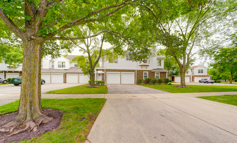 477 grosse pointe Circle #3-6, Vernon Hills, IL 60061