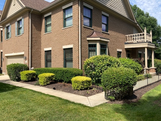 21709 Cappel Lane, Frankfort, IL 60423