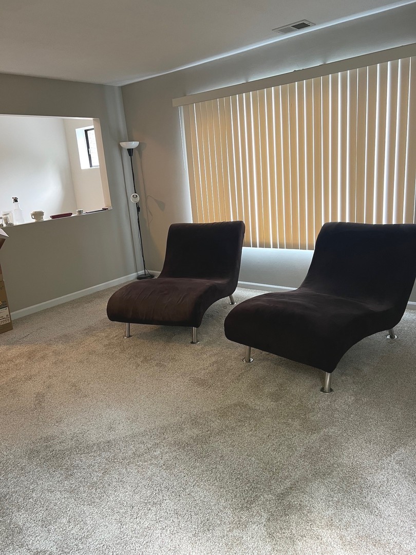 375 RIMINI Court #375, Palatine, IL 60067