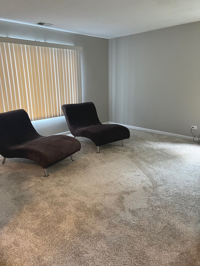375 RIMINI Court #375, Palatine, IL 60067