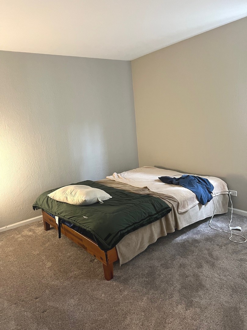 375 RIMINI Court #375, Palatine, IL 60067