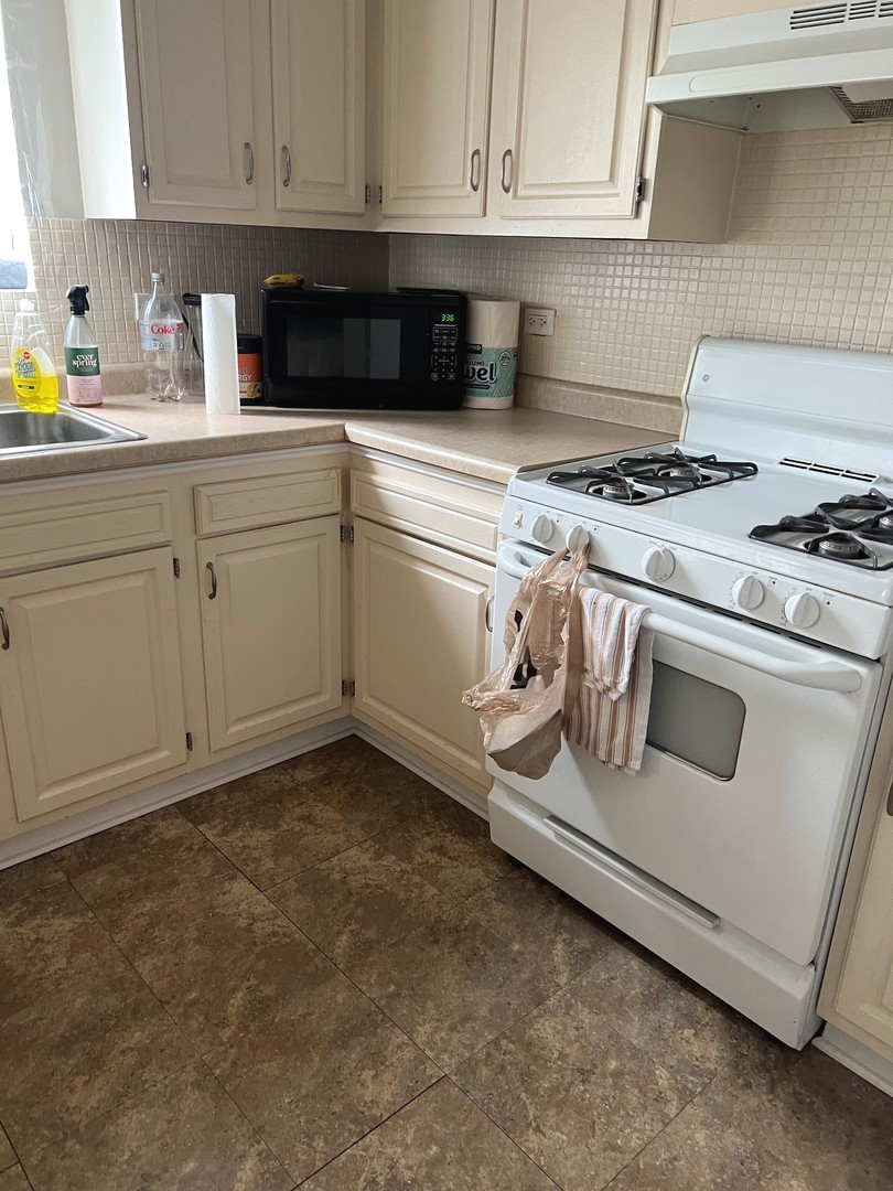 375 RIMINI Court #375, Palatine, IL 60067