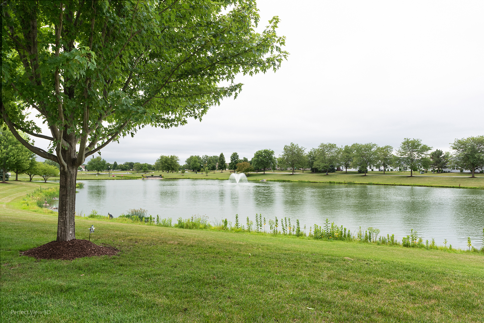 21419 Mays Lake Drive, Crest Hill, IL 60403