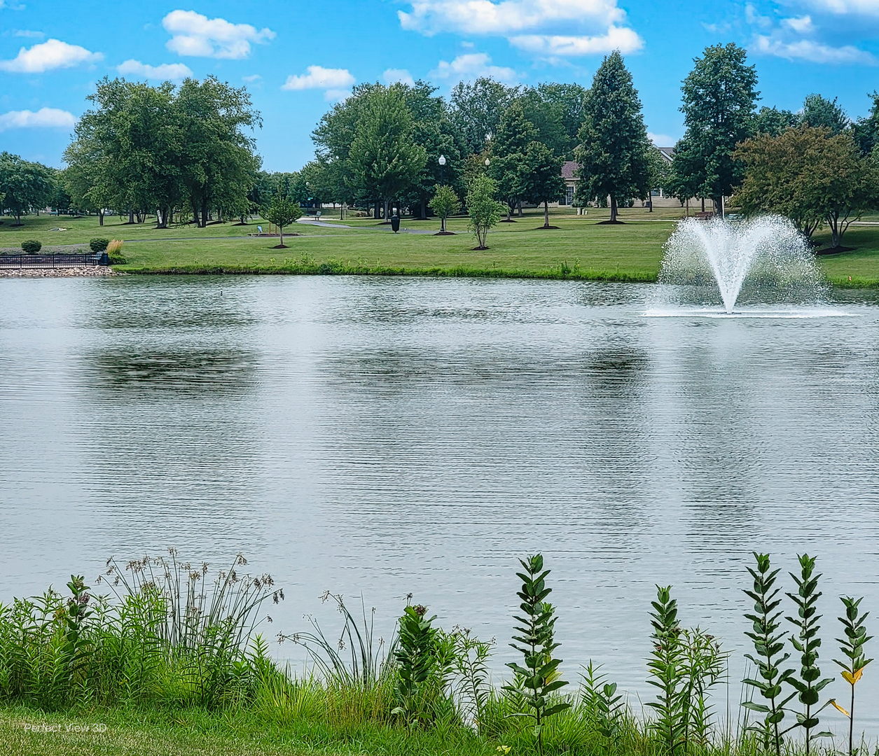 21419 Mays Lake Drive, Crest Hill, IL 60403