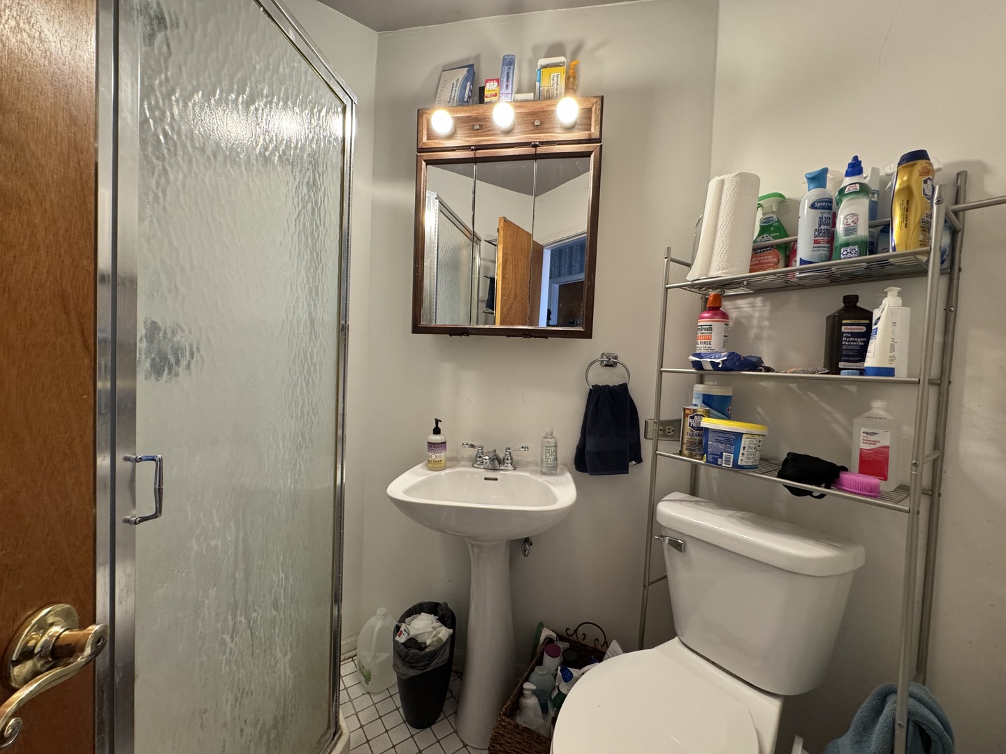 10838 S Wallace Street, Chicago, IL 60628