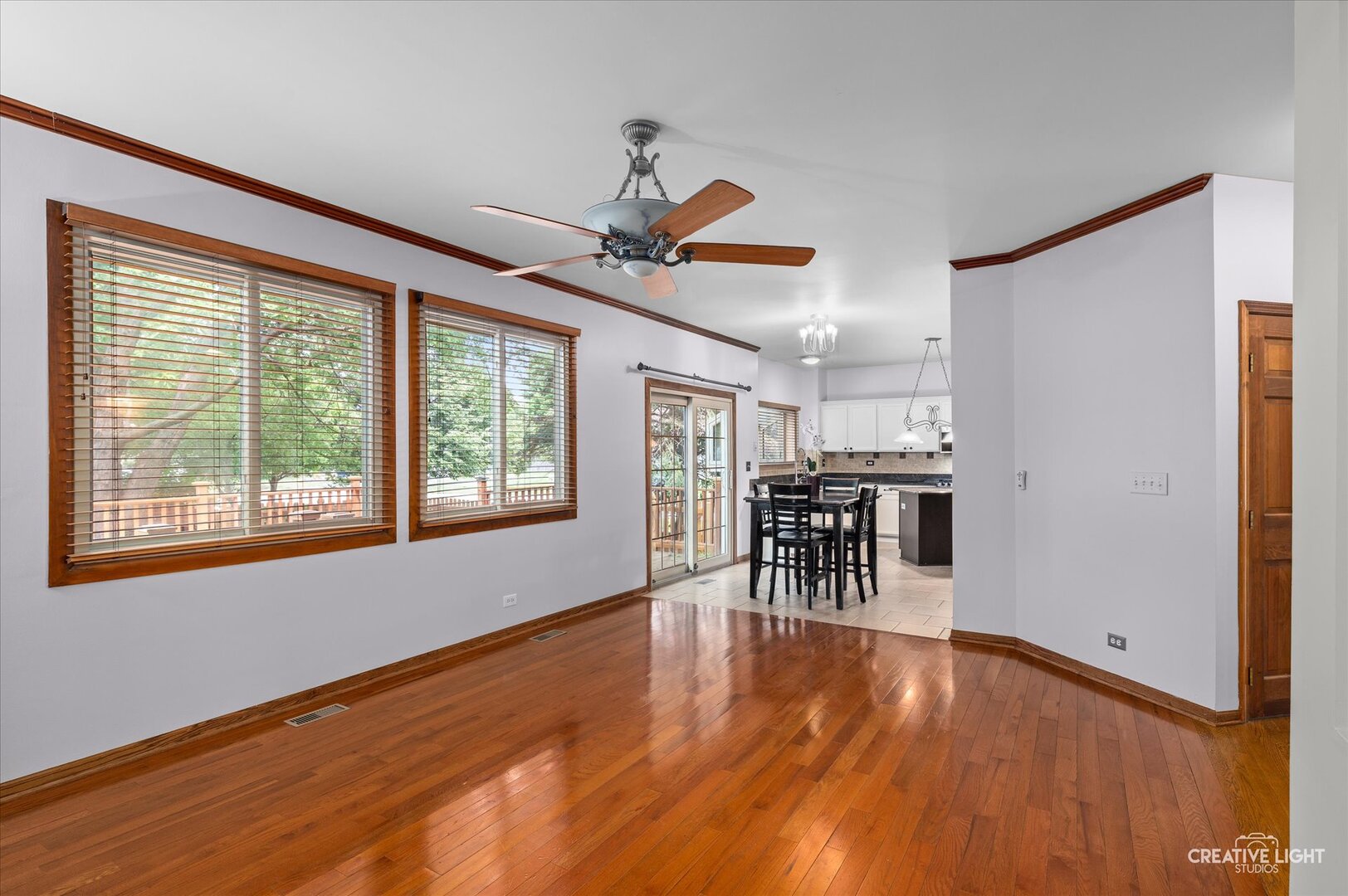 222 Mondovi Drive, Oswego, IL 60543