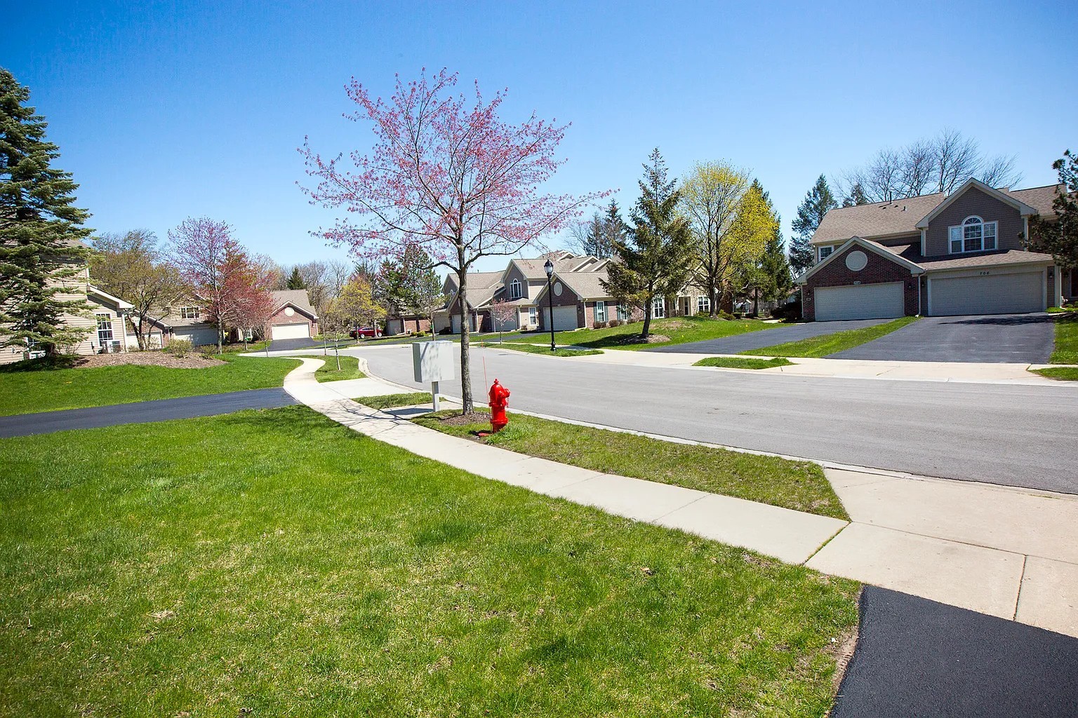 707 Clover Hill Court, Elk Grove Village, IL 60007