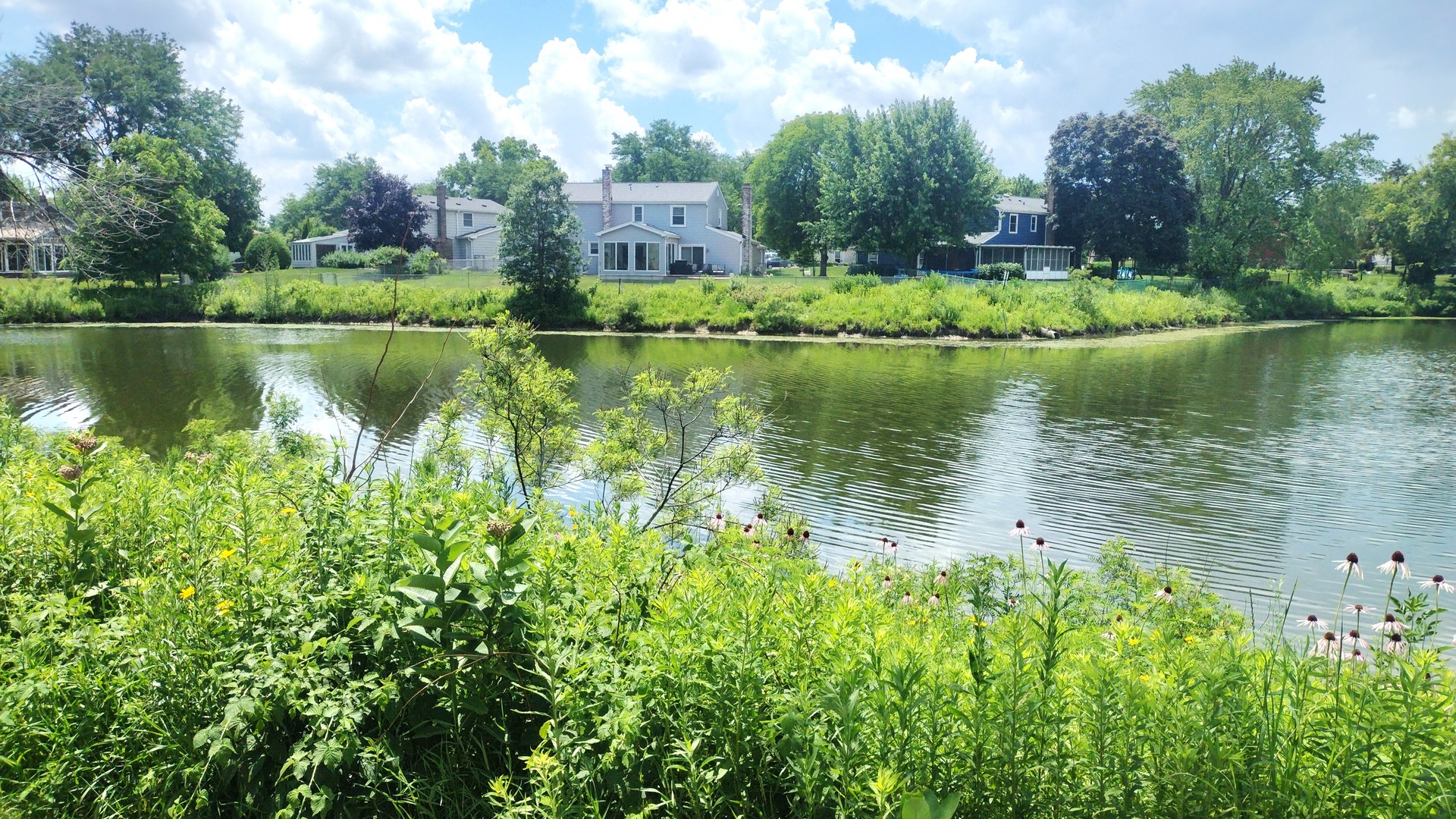 1114 Hampton Harbor, Schaumburg, IL 60193